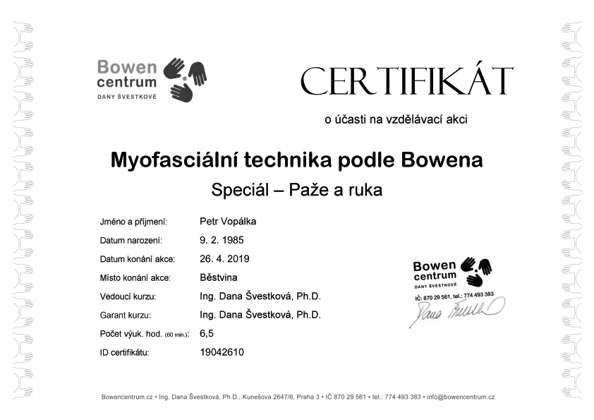 Bowenova technika